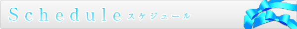 スケジュール