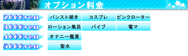 オプション料金